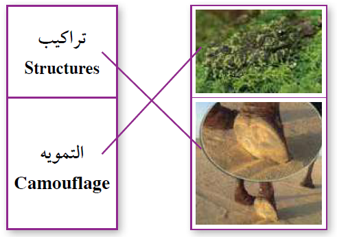 أصل المفهوم بالصورة المناسبة له في ما يأتي